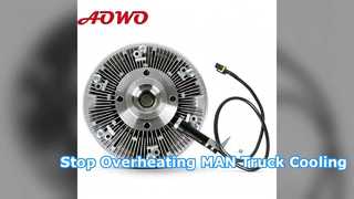 MAN Truck Fan Clutch 51066300145 OE Cooling Solution